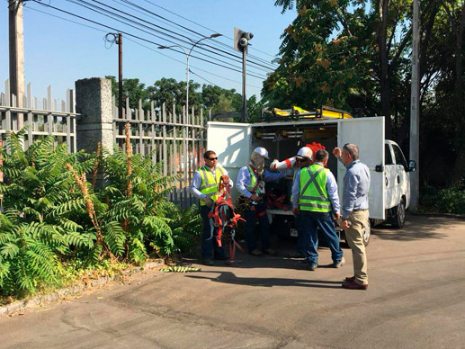 Equipo trabajando en postes